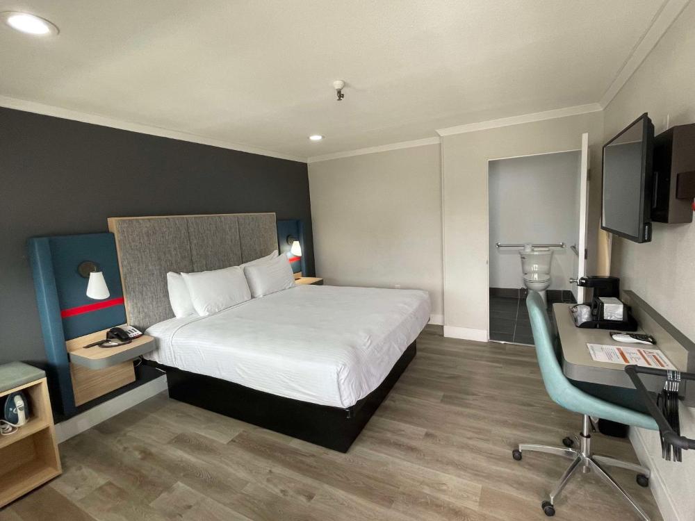 King Room interior